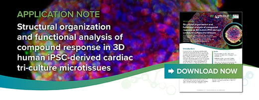 Banner-email-App 2515A-3D human cardiac microtissues-20230130