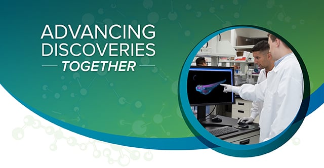 global-email-newsletter