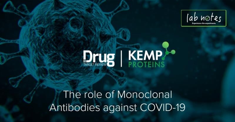 role-of-monoclonal-antibodies