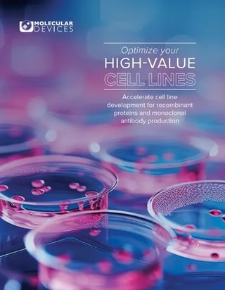 Screenshot 2024-09-22 at 4.50.26 PM